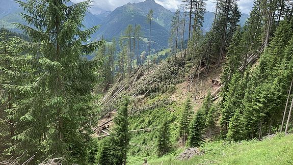 15. Etappe: Naturgewalten 