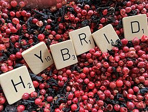 Wie professionelle Beratung von hybriden Events gelingt