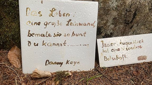 16. Etappe: Niederlagen verkraften durch Stärke 